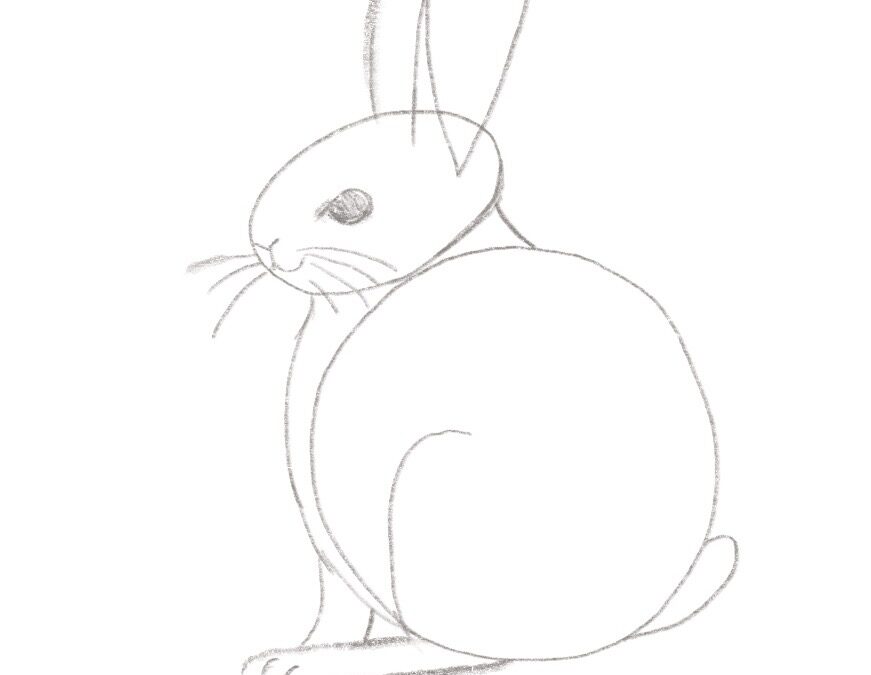 How to use our drawing instructions