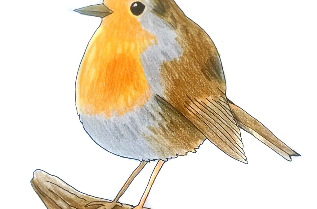 How to color your drawing with colored pencils