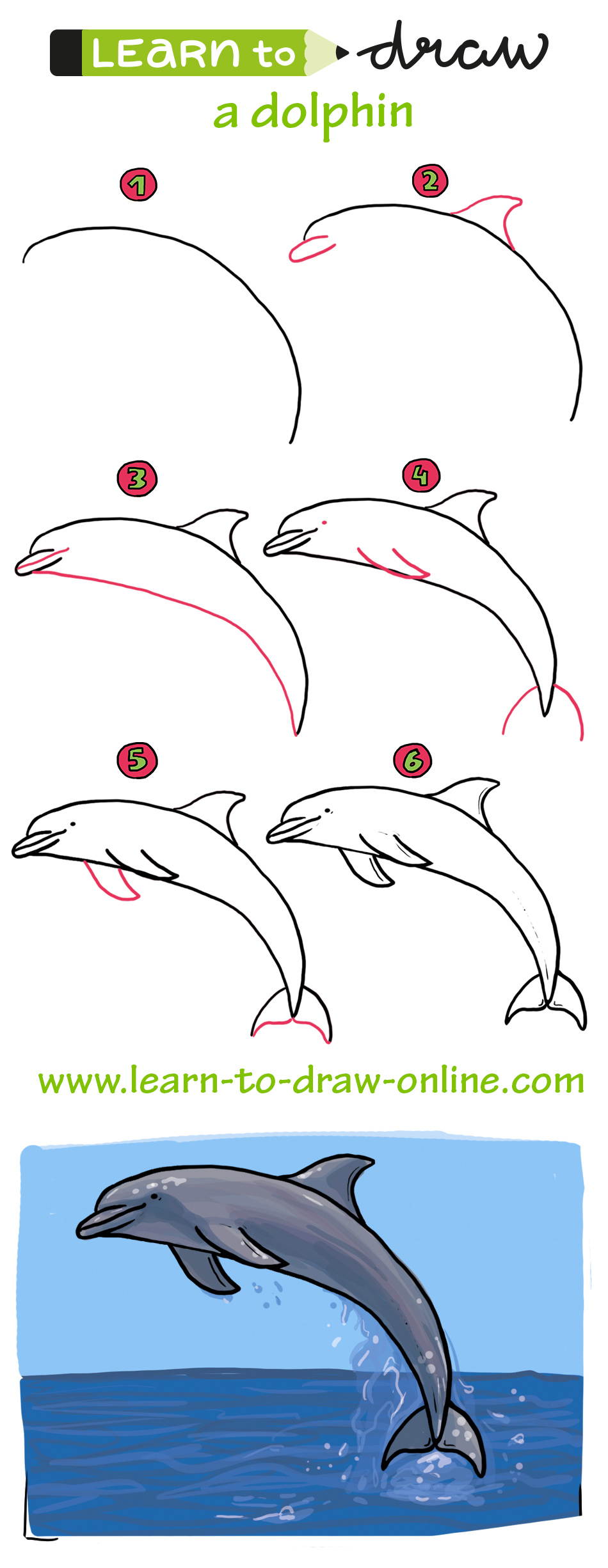 Learn To Draw A Dolphin Learn To Draw Online Learn To Draw A Dolphin Learn To Draw Online