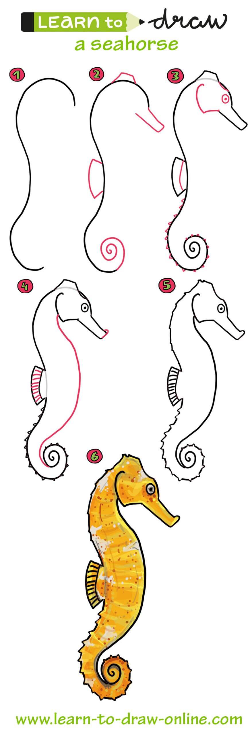 seahorse drawing tutorial