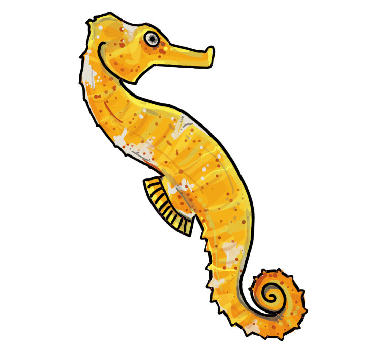 Learn how to draw a seahorse