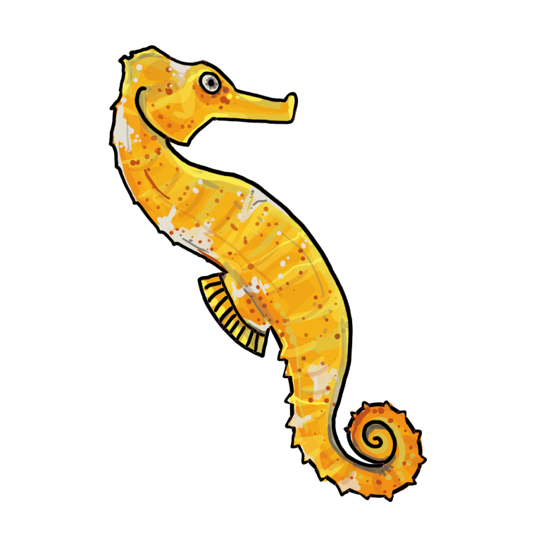 Learn how to draw a seahorse