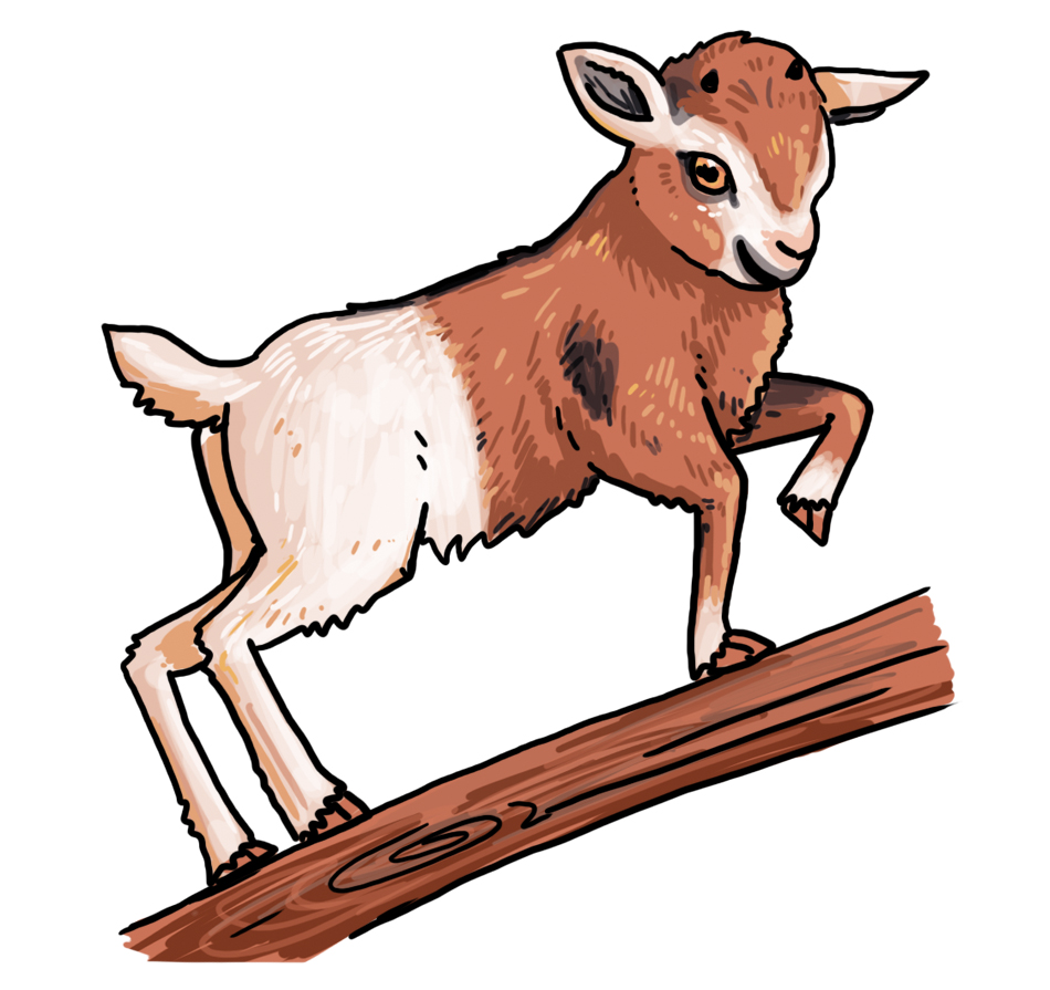 How to Draw a Kid (Baby Goat) – Easy Step-by-Step Drawing Tutorial for Beginners